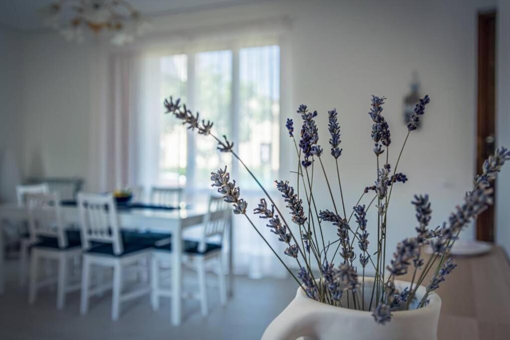 Willa Casa Gu Lido di Camaiore Zewnętrze zdjęcie